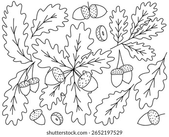 Folhas de carvalho e bolotas desenhado à mão vetor doodle set
