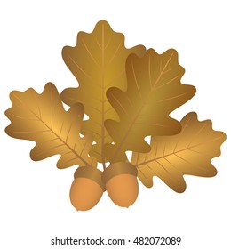 Oak leaves and acorns. Illustration in the vector. Autumn brown colors oak leaves and two brown acorns.