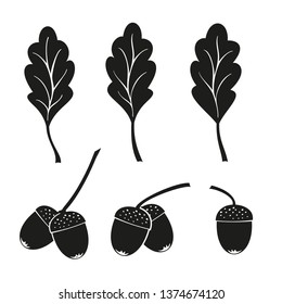 Oak leaves and acorns isolated on a white background.