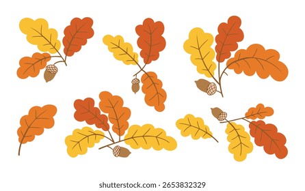 Folhas de carvalho e bolotas definir mão desenhada em estilo colorido no fundo branco. Conceito de elementos florestais de outono e concepção sazonal natural