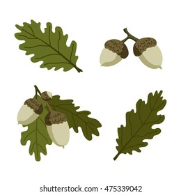 Oak leaves and acorns vector set.