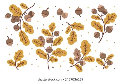 Oak leaves and branches collection. Vector clipart. Flat illustration