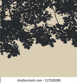 oak leaves and branches silhouette. detailed vector illustration