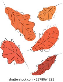 Oak leaves. Colored line art. Leaves drawn with black lines. High quality vector illustration.