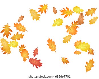 Oak leaves flying confetti vector background. Autumn leaves falling confetti - seasonal background for september, october, november graphic design. Horizontal autumn banner.
