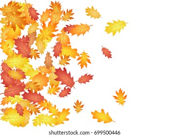 Oak Leaves Flying Confetti Vector Background Stock Vector (Royalty Free ...