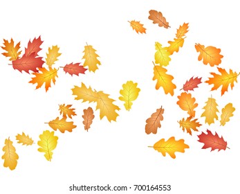 Oak leaves flying confetti vector background. Autumn leaves falling confetti - seasonal background for september, october, november graphic design. Horizontal autumn banner with oak tree foliage.