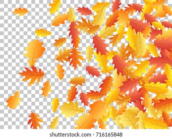 Oak leaves flying confetti vector background. Seasonal background for september, october, november design. Side border with autumn foliage on transparent. Autumn leaves falling vector illustration