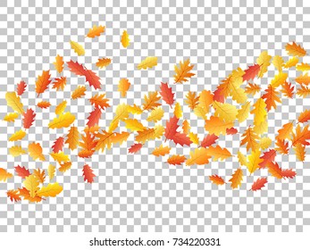Oak leaves flying confetti vector background. Autumn leaves falling confetti - seasonal background for september, october, november graphic design. Autumn banner on transparent.