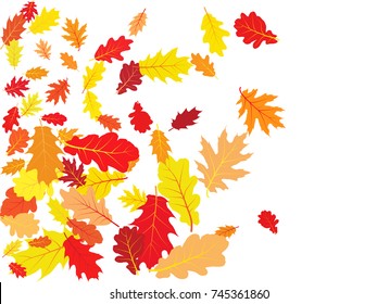 Oak leaves flying confetti vector background. Seasonal background for september, october, november design. Left side border with autumn foliage on white. Autumn leaves falling down vector illustration