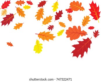 Oak leaves flying confetti vector background. Autumn leaves falling confetti - seasonal background for september, october, november graphic design.