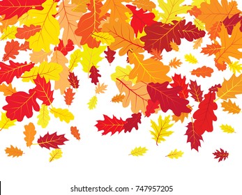 Oak leaves flying confetti vector background. Autumn leaves falling confetti - seasonal background for september, october, november graphic design. 