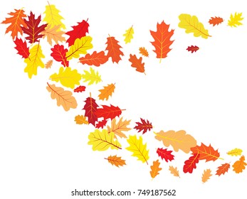 Oak leaves flying confetti vector background. Autumn leaves falling confetti - seasonal background for september, october, november graphic design. Horizontal autumn banner.