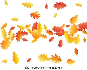 Oak leaves flying confetti vector background. Seasonal background for september, october, november design. background with autumn foliage on white. Autumn leaves falling down vector illustration