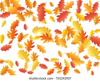Oak leaves flying confetti vector background. Seasonal background for september, october, november design. background with autumn foliage on white. Autumn leaves falling down vector illustration