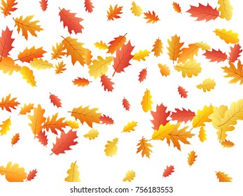 Oak leaves flying confetti vector background. Seasonal background for september, october, november design. background with autumn foliage on white. Autumn leaves falling down vector illustration