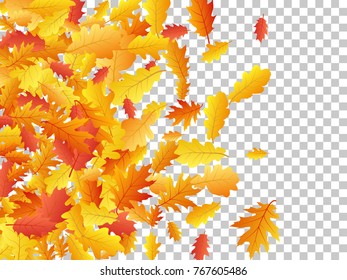 Oak leaves flying confetti vector background. Seasonal background for september, october, november design. Left side border with autumn foliage on transparent. Autumn leaves falling vector.