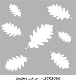 oak leaves on grey background