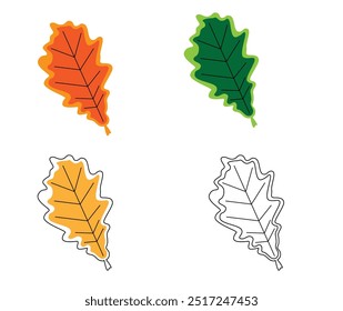 Oak Leaves Set Different Colors. Nature plants and flowers concept vector