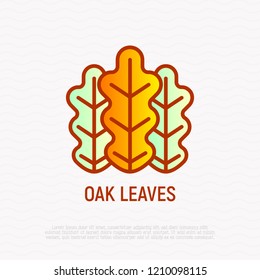 Oak leaves thin line icon. Modern vector illustration.