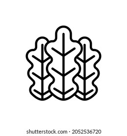 Oak leaves thin line icon. Modern vector illustration.