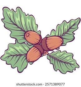 Oak leaves with three acorns close-up. Forest design element. Simple vector color illustration in hand drawn style isolated on white.