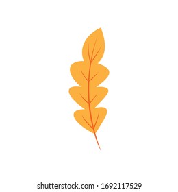 Logotipo del vector de vida útil de roble aislado.Vector de plantilla de logotipo estándar
