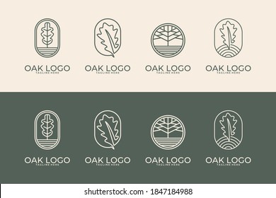 oak with line art style logo design collection