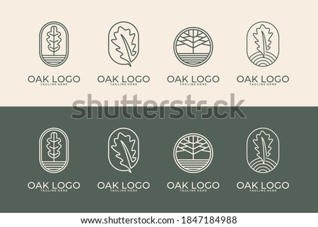 oak with line art style logo design collection