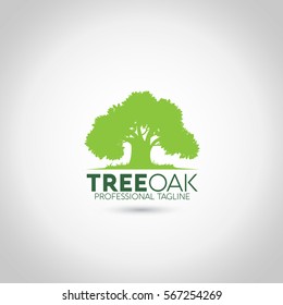 Oak Logo