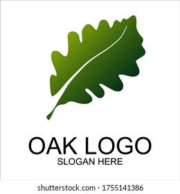 Oak logo design template, vector illustration.
