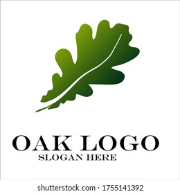 Oak logo design template, vector illustration.
