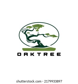 Logotipo de roble, logotipo de árbol, plantillas de logotipo de la naturaleza, natural 