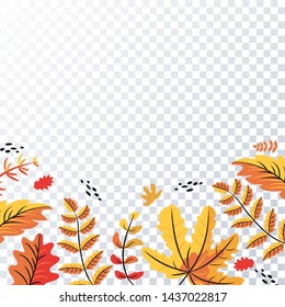 Oak, maple, aspen, birch, rowan yellow and red hand drawn autumn leaves.