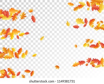 Oak and maple leaf abstract background seasonal vector illustration. Autumn leaves falling graphic design. Fall season specific vector background. Oak and maple tree dry autumn yellow orange foliage.