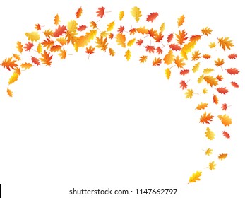 Oak and maple leaf abstract windy background seasonal vector illustration. Autumn leaves falling graphic design. Fall season specific vector background. Oak and maple tree dry autumn yellow foliage.