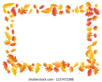 Oak and maple leaf beautiful background seasonal vector illustration. Autumn leaves falling graphic design. Fall season specific vector background. Oak and maple tree dry autumn yellow orange foliage.