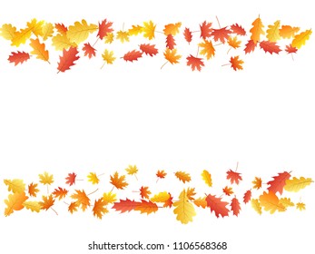 Oak and maple leaf beautiful frame background seasonal vector illustration. Autumn leaves flying graphic design. Fall season specific vector background. Oak and maple tree dry autumn orange foliage.