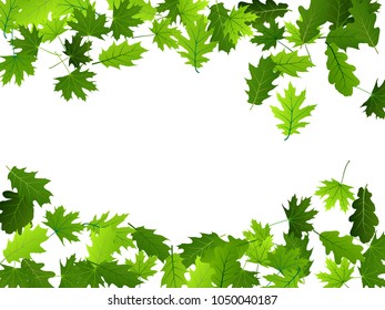 Oak and maple leaf border abstract background seasonal vector illustration. Summer or spring leaves falling frame design. Season specific border vector background. Oak and maple tree foliage on white.