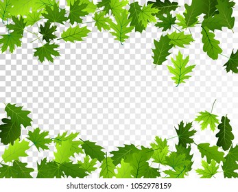 Oak and maple leaf border abstract background vector illustration. Summer or spring leaves falling frame design. Season specific border background. Oak and maple green tree foliage on transparent.
