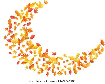 Oak and maple leaf windy background seasonal vector illustration. Autumn leaves flying graphic design. Fall season specific vector background. Oak and maple tree dry autumn foliage scatter.