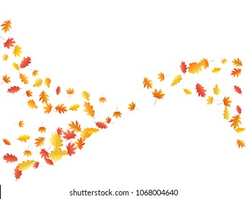 Oak and maple leaves flying vector background. Seasonal background for september, october, november design. Left side border with autumn foliage on white. Autumn leaves falling vector illustration