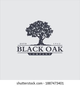 Oak Maple Tree Logo Design Vector Image