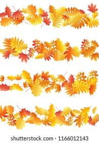 Oak, maple, wild ash rowan leaves vector, autumn foliage on white background. Red gold yellow sorbus dry autumn leaves. Forest tree foliage october seasonal background.