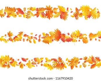 Autumn Colorful Leaves Vector Illustration Stock Vector (royalty Free 