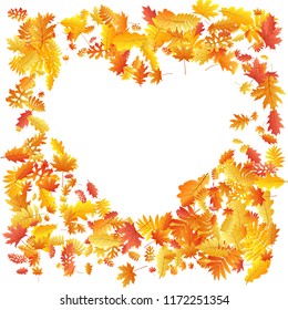 Oak, maple, wild ash rowan leaves vector, autumn foliage on white background. Red orange yellow rowan dry autumn leaves. Rich tree foliage october background pattern.