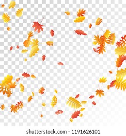 Oak, maple, wild ash rowan leaves vector, autumn foliage on transparent background. Red gold yellow wild ash dry autumn leaves. Garden tree foliage september background graphics.