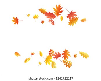 Oak, maple, wild ash rowan leaves vector, autumn foliage on white background. Red orange gold sorb dry autumn leaves. Fancy tree foliage october season specific background.