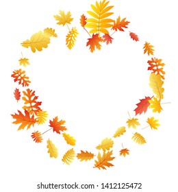 Oak, maple, wild ash rowan leaves vector, autumn foliage on white background. Red gold yellow ash and oak autumn leaves. Nice tree foliage september background graphics.
