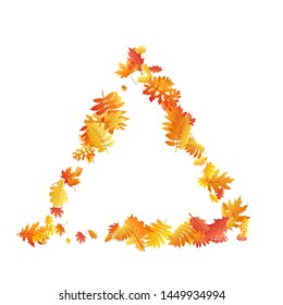 Oak, maple, wild ash rowan leaves vector, autumn foliage on white background. Red orange gold rowan dry autumn leaves. Detailed tree foliage vector october season specific background.